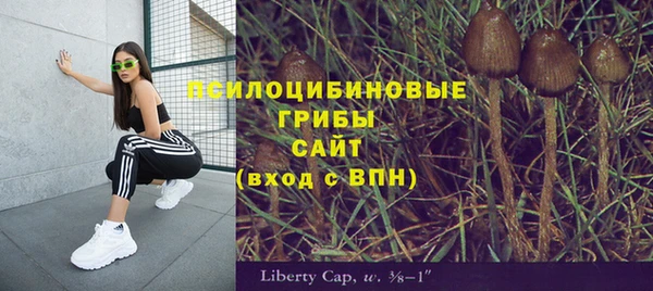 хмурый Абдулино