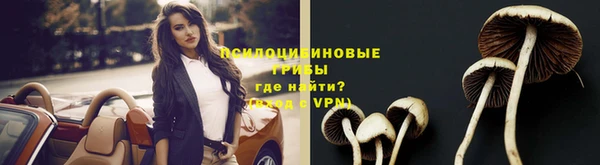 дурь Абинск