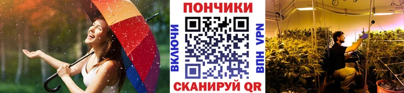 где продают наркотики  гидра сайт  Каннабис Ganja  Холм 